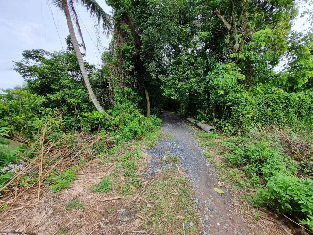(B468) Đất 1/Tỉnh Lộ 7, xã Bình Mỹ, gần Sông Sài Gòn , dt 2.786m2, thổ 2.584m2, giá 10 tr/m2 TL