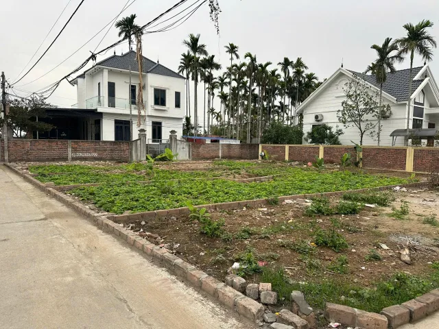 Siêu phân 1 lô duy nhất tại xã lâm động Thủy Nguyên dt 60m ngang 5 giá chỉ 1 tỷ 2xx lh ngay 0382341632
