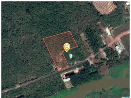 Bán đất 8766.8m² 3.9 tỷ tại Xã Minh Hoà Huyện Dầu Tiếng