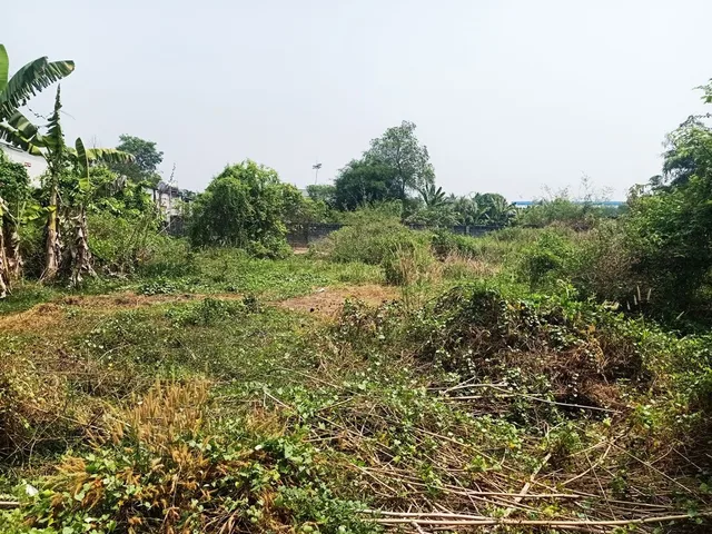 Bán đất nền, 188 m², Củ Chi