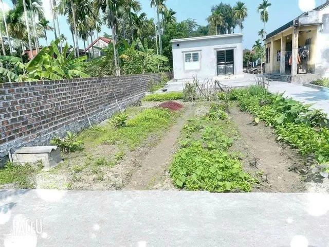 Bán đất 100m² 1.65 tỷ tại Xã Thiên Hương Huyện Thuỷ Nguyên. liên hệ 0362558882