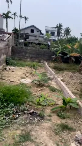 Bán đất 50m² 850 triệu tại Xã Lâm Động Huyện Thuỷ Nguyên. liên hệ 0362558882