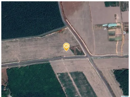 Bán lỗ 1000m2 (21x52) giá 180 triệu. LH: 0933.263.596 A.VỸ