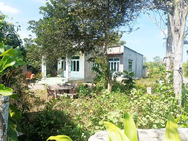 Bán nhà vườn đường 825 - 1128m2 - 14x60 nở hậu 30m - 45m2 thổ cư - xã Phú Mỹ Hưng - Củ Chi