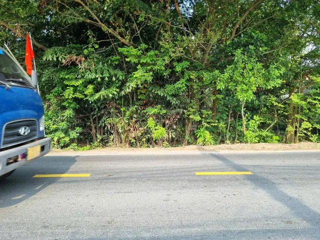 (S596) Đất mặt tiền Nguyễn Thị Rành (1/ Quốc Lộ 22), xã Phước Hiệp, dt 137m2, giá 2 tỷ 100