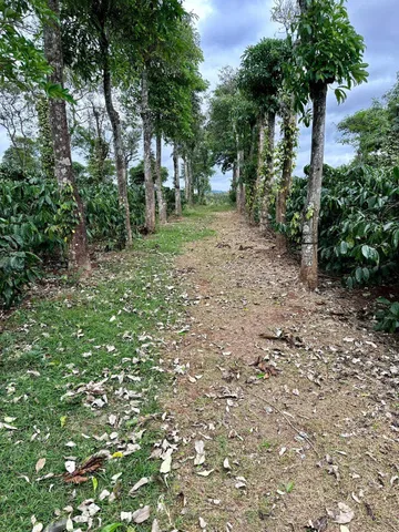 Bán đất 7862.5m² ngang 100m giá 1.75 tỷ tại Xã Cư M'gar Huyện Cư M'gar