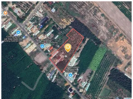 Kẹt tiền bán 1000m2 giá 180 triệu. LH: 0933.263.596 A.Vỹ