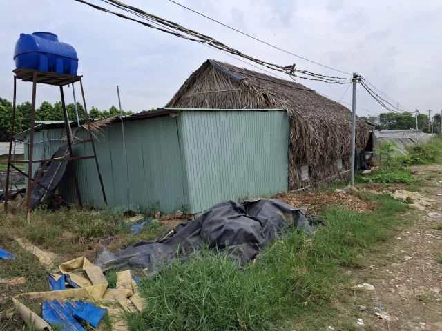 🔥 Rẻ! Đất 2.9tr/m² 0.3Ha – Xuân Thới Thượng 2 HM