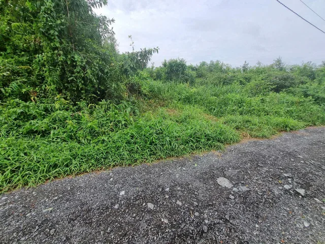(B474) Đất xã Bình Mỹ, dt 1.403m2, giá 6tr/m2