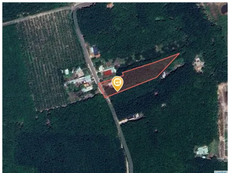 Cần bán lỗ 1000m2 SHR giá 180 triệu. LH: 0933.263.596 A.Vỹ gửi thông tin đất ạ