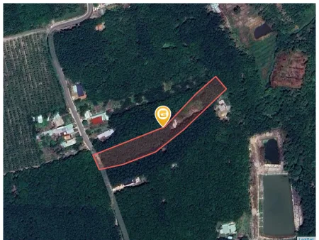 Cần bán lỗ 1000m2 SHR giá 180 triệu. LH: 0933.263.596 A.Vỹ gửi thông tin đất ạ