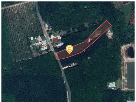 Cần bán lỗ 1000m2 SHR giá 180 triệu. LH: 0933.263.596 A.Vỹ gửi thông tin đất ạ