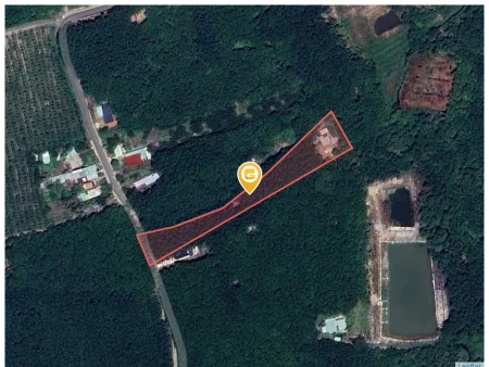 Cần bán lỗ 1000m2 SHR giá 180 triệu. LH: 0933.263.596 A.Vỹ gửi thông tin đất ạ