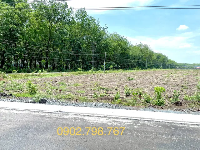 Bán đất 1000m² 490 triệu tại Xã Minh Lập Thị xã Chơn Thành