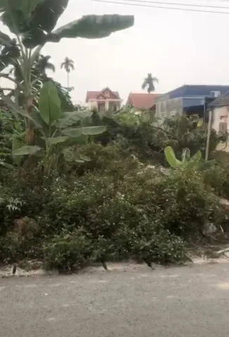 X Bán đất 150m² mặt đường nhựa 7m. 2.45 tỷ tại Xã Hoàng Động Huyện Thuỷ Nguyên. liên hệ 0362558882