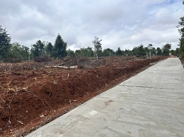 Bán 6 lô đất 170m² 295 triệu tại Xã Ea D'Rơng Huyện Cư M'gar