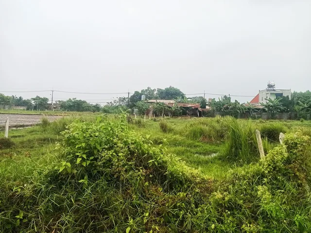 Bán đất 2/ đường Tỉnh Lộ 2 - 535m2 - 10x54 - 100m2 thổ cư - xã Trung Lập Thượng - Củ Chi