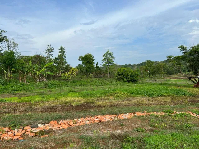 Bán đất view ruộng 1984.1m² 1.8 tỷ tại Phường Thành Nhất Thành phố Buôn Ma Thuột