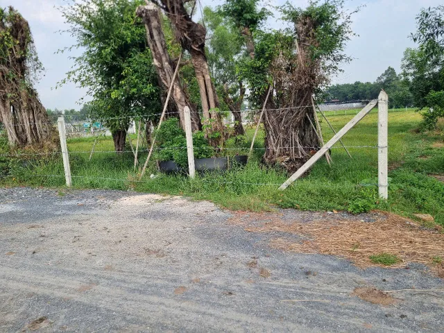 (B478) Đất xã Phước Vĩnh An, dt 4.623m2, cần lên thổ lên được luôn, giá 2,5tr/m2 thương lượng