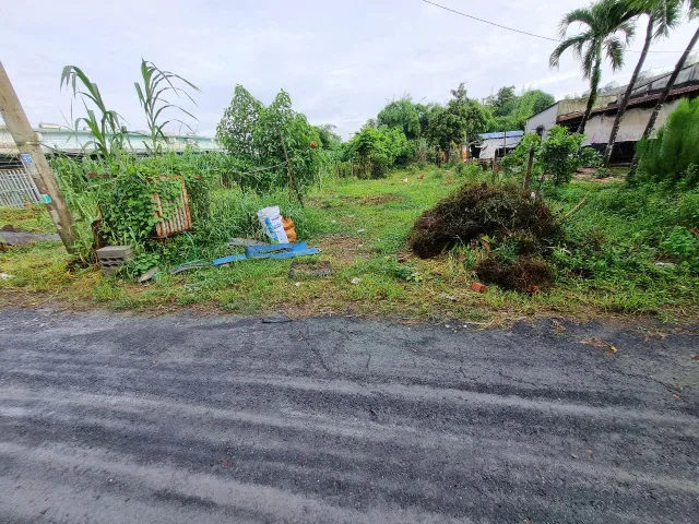 (L648) Đất 1/ Nguyễn Kim Cương, Tân Thạnh Đông, dt 261m2, full thổ, giá 3 tỷ TL