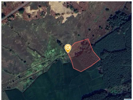 Bán đất 9000m² 4.5 tỷ tại Xã Long Phước Huyện Long Thành
