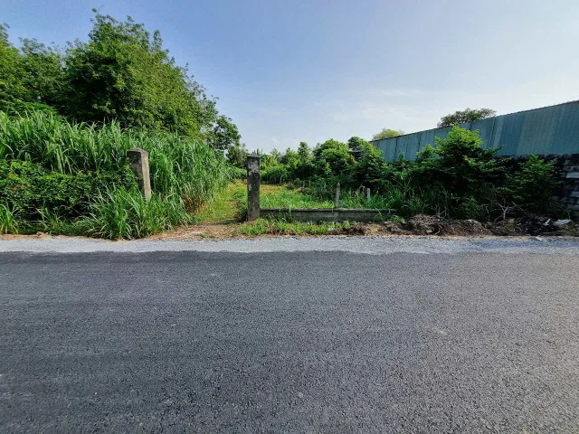 (L651) Đất mặt tiền Trần Thị Tuồng, xã Phú Hòa Đông, dt 731m2, thổ cư 100m2, giá 3 tỷ 900 thương lượng