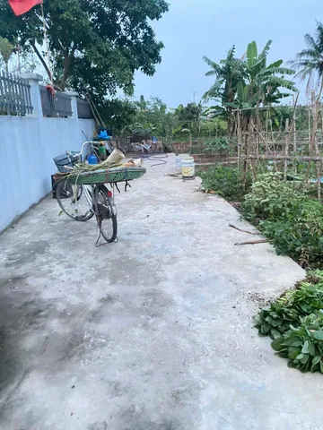 Rẻ nhất lâm động Thủy Nguyên 71m ngang 4,45 giá chỉ 1tỷ 4xx lh ngay 0382341632 em Liên
