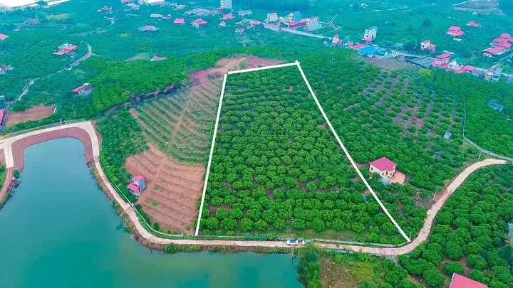 Bán đất 7336.4m² ngang 90m giá 3.5 tỷ tại Xã Trù Hựu Huyện Lục Ngạn