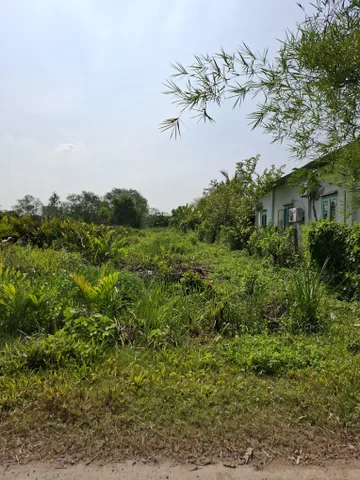 Đất vườn quy hoạch dân cư Long Phước Q.9