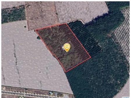Cần bán lỗ 1000m2 SHR giá 180 triệu. LH: 0933.263.596 A.Vỹ gửi thông tin đất ạ