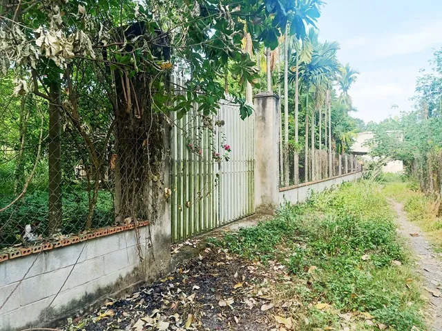Bán nhà vườn 1/ đường 437 - 1653m2 - 30x59 - 300m2 thổ cư - xã Phú Hòa Đông - Củ Chi