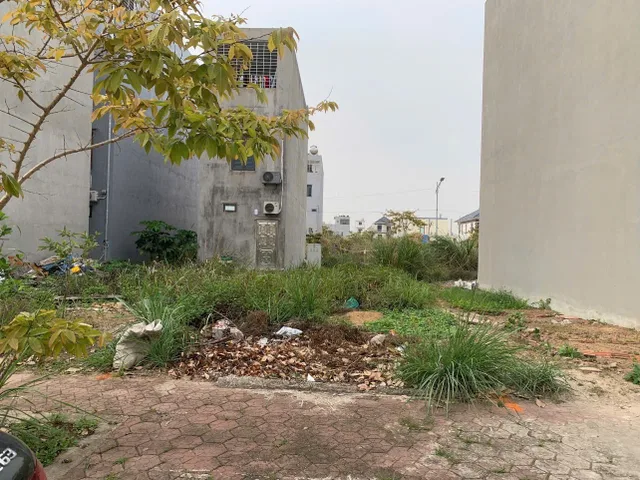 Bán đất 60m² lô 71 lk06. giá 3.29 tỷ tại Dương Quan  Thuỷ Nguyên. liên hệ 0362558882
