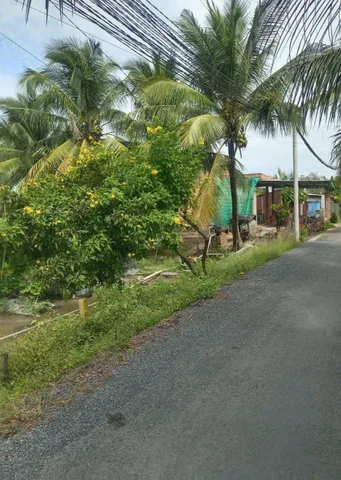 47x90, 4000m2 LÚA, GIÁ THƠM HƠN MÍT,  MT NHỰA ÔTÔ RỘNG, 1 SẸC NGẮN 816, GẦN CHỢ, SÔNG VCĐ, PHÀ TRÀ CÚ, ĐÃ PHỦ HỒNG, CÁCH NHÀ NGHĨ HOA HỒNG, UBND XÃ , BHX 300m
