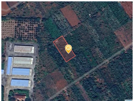 Bán đất 3121.8m² ngang 38m giá 2.99 tỷ tại Phường Tân An - Giá siêu rẻ chính chủ nhờ bán
