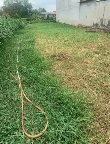 Bán đất 229.7m² ngang 8m giá 11.5 tỷ tại Xã Xuân Thới Thượng Huyện Hóc Môn