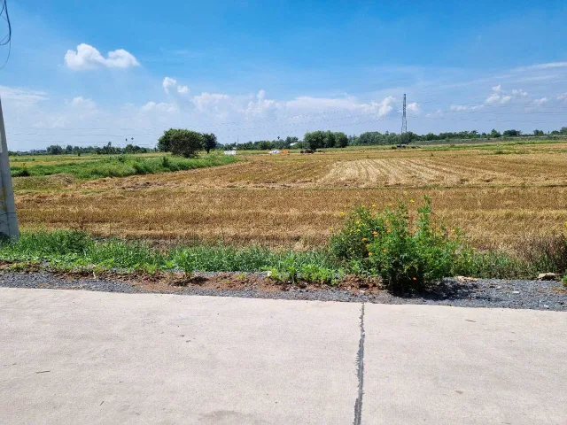 (L667) Đất mặt tiền Đường 663, xã Phước Thạnh, dt 1.331m2, giá 2 tỷ 590
