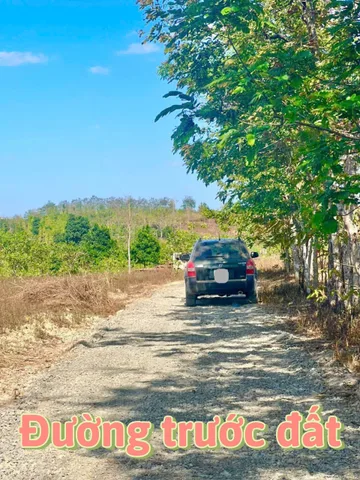 Bán đất 2000m  399 triệu tại Xã Ea M'DRóh Huyện Cư M'gar