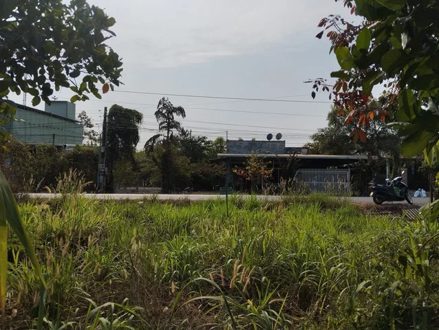 Bán đất 925m² có sẵn 30m² thổ cư ngang 10m giá 2.00 tỷ tại Xã Long Hoà Huyện Dầu Tiếng
