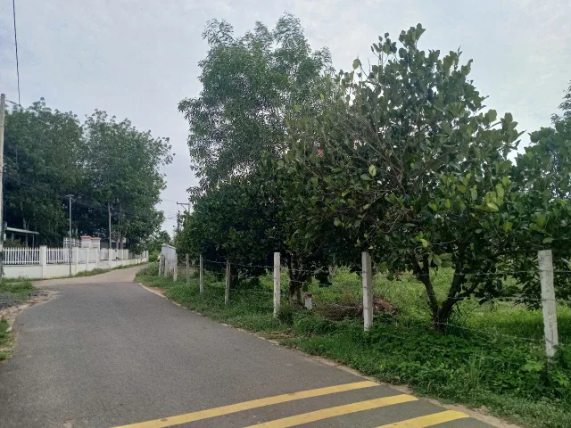 Cần bán gấp 4 lô đất ngay trung tâm  Dầu Tiếng Bình Dương