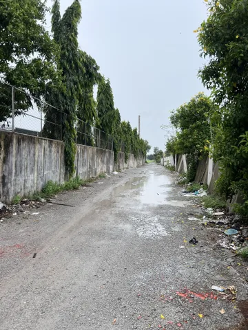 BÁN GẤP 3.233M² ĐẤT TÂN HIỆP, HÓC MÔN – VỊ TRÍ ĐẸP, TIỀM NĂNG CAO