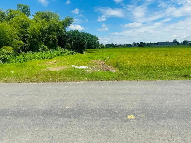 kẹt tiền bán lỗ đất đẹp mặt tiền đường nhựa lục viên xã mỹ hạnh bắc 150m2