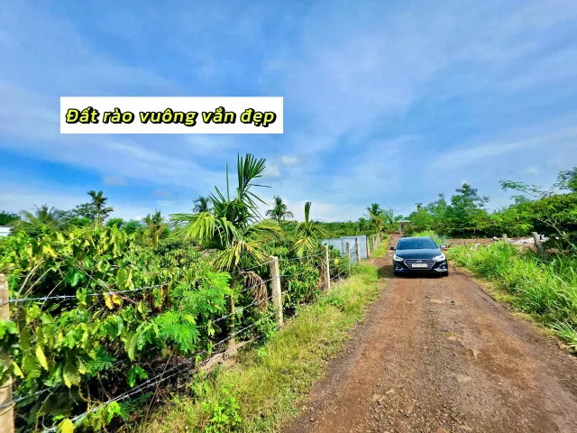 Bán đất 8000m² giá 1.89 tỷ tại Xã Ea Drông Thị xã Thị Xã Buôn Hồ