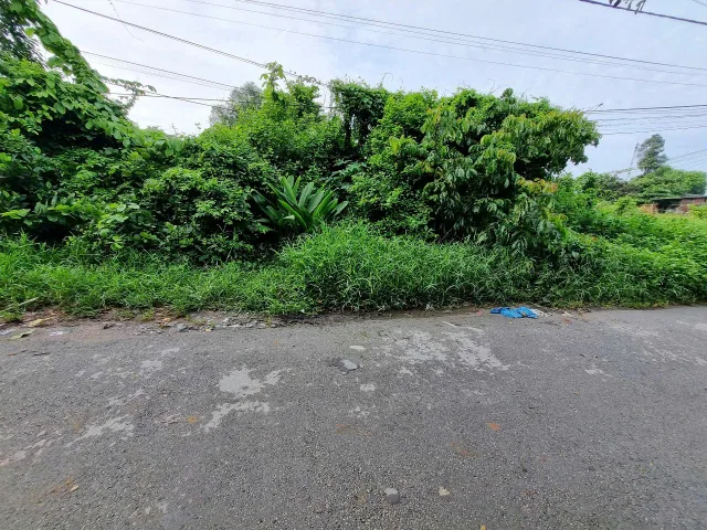(L684) Đất mặt tiền Đường 130 (1/ Tỉnh Lộ 15), xã Tân Thạnh Đông, dt 250m2, full thổ cư, đất ở hiện hữu, giá 3 tỷ 600