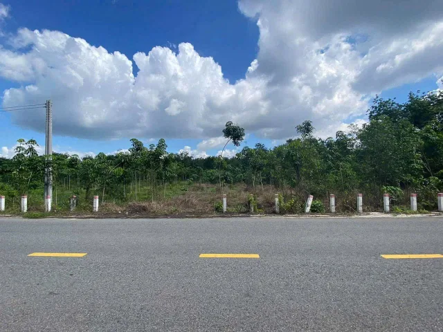 Bán đất 1023m² giá 290 triệu tại Xã Tân Quan Huyện Hớn Quản LH 0931.783.209_C. Huyền