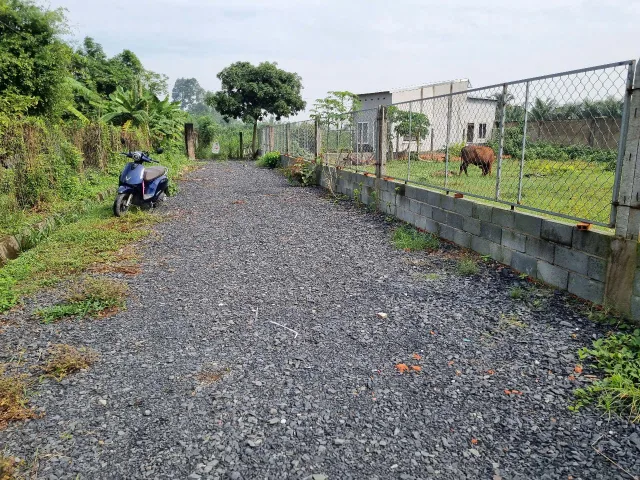 (S652) Đất gần Nguyễn Thị Thạo, xã Phước Hiệp, dt 168m2, thổ 134m2, đất ở hiện hữu, giá chỉ 1 tỷ 180