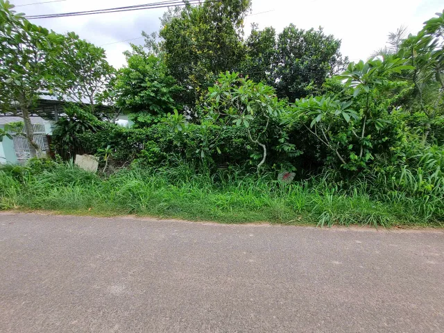 (L702)Bán đất 1/ Bến Súc, dt  1093m² , giá 4.9 tỷ tại Xã An Phú Huyện Củ Chi