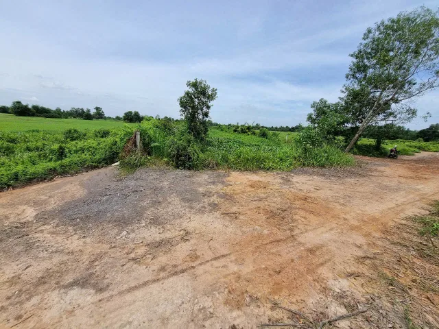(L697) Đất 1/ Tỉnh Lộ 15, xã Phú Hòa Đông, dt 1.253m2, giá 2 tỷ 200