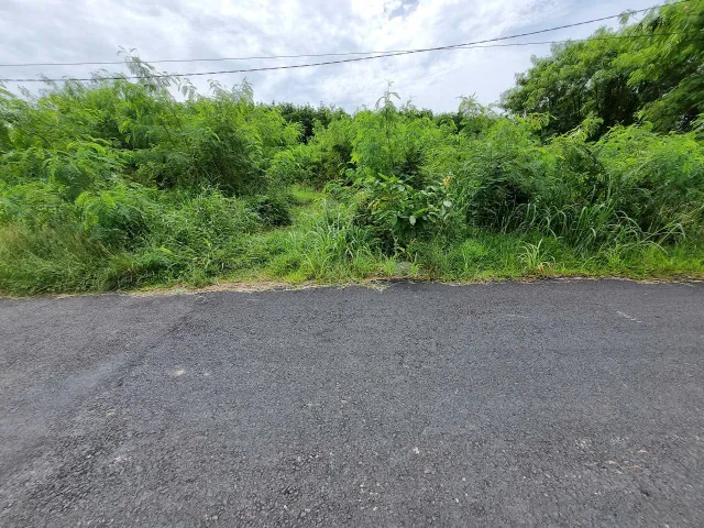 (S656)(Đã bán)  Đất gần Sông Sài Gòn, xã Phú Mỹ Hưng, dt 156m2. thổ 133m2, giá 1 tỷ 100