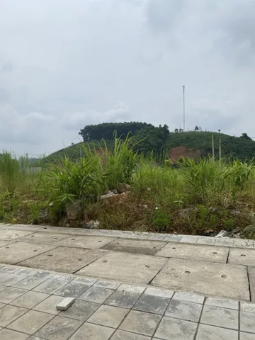 Bán đất 100m² ngang 5m giá 3 tỷ tại Phường Yên Ninh Thành phố Yên Bái