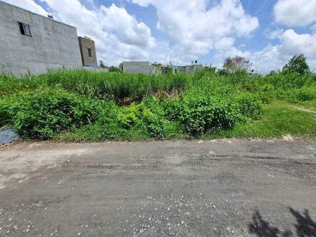 (L705) Đất mặt tiền Rạch Dứa, xã Bình Mỹ, dt 140m2, full thổ, đất ở hiện hữu, giá 2 tỷ 500